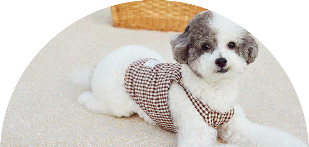 클리프포트폴리오